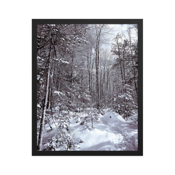 premium luster photo paper framed poster in black 16x20 front 682d16d9606e1.jpg