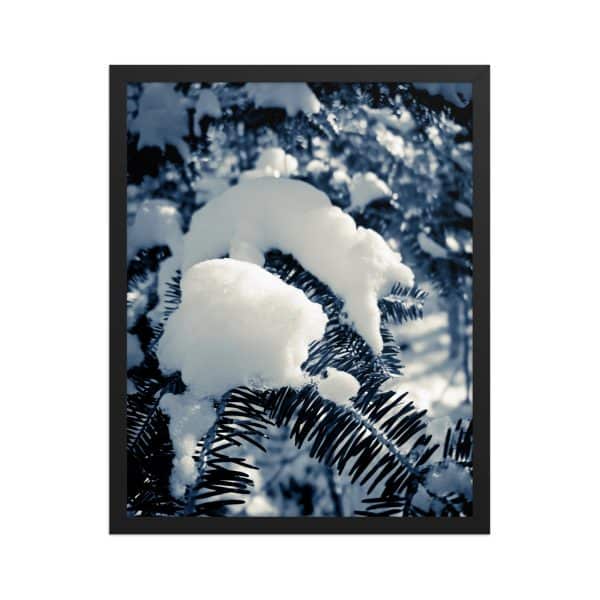 premium luster photo paper framed poster in black 16x20 front 682d193ae5f98.jpg