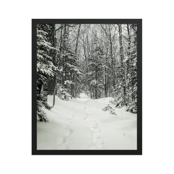 premium luster photo paper framed poster in black 16x20 front 682d1b2ecdb73.jpg