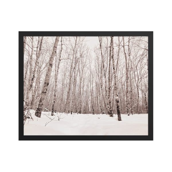 premium luster photo paper framed poster in black 16x20 front 682d98ab8eaea.jpg