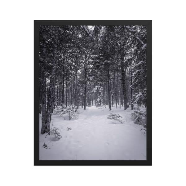 premium luster photo paper framed poster in black 16x20 front 682d9aa7accfa.jpg