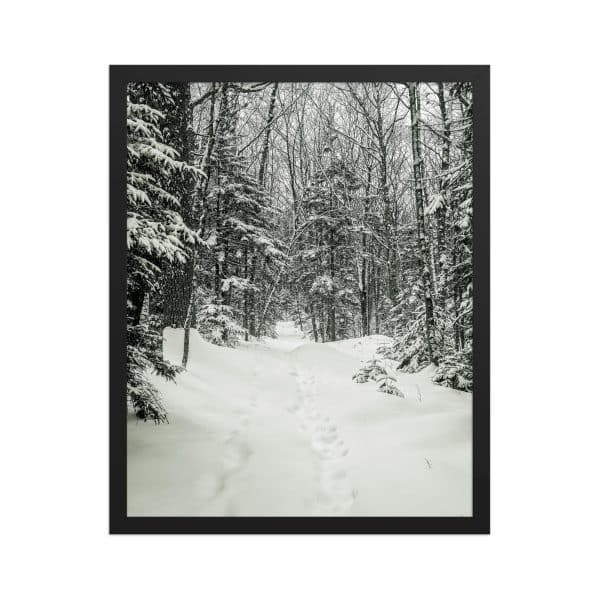 premium luster photo paper framed poster in black 16x20 front 682d9c6b3cc33.jpg