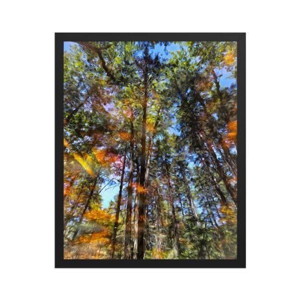 premium luster photo paper framed poster in black 16x20 front 682e646677836.jpg