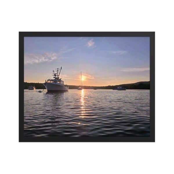 premium luster photo paper framed poster in black 16x20 front 682faa5bbc9fa.jpg