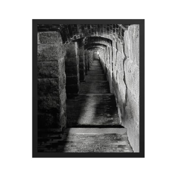 premium luster photo paper framed poster in black 16x20 front 682fb082b4b78.jpg