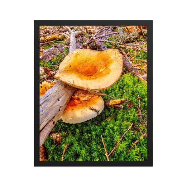 premium luster photo paper framed poster in black 16x20 front 68310c75cede3.jpg