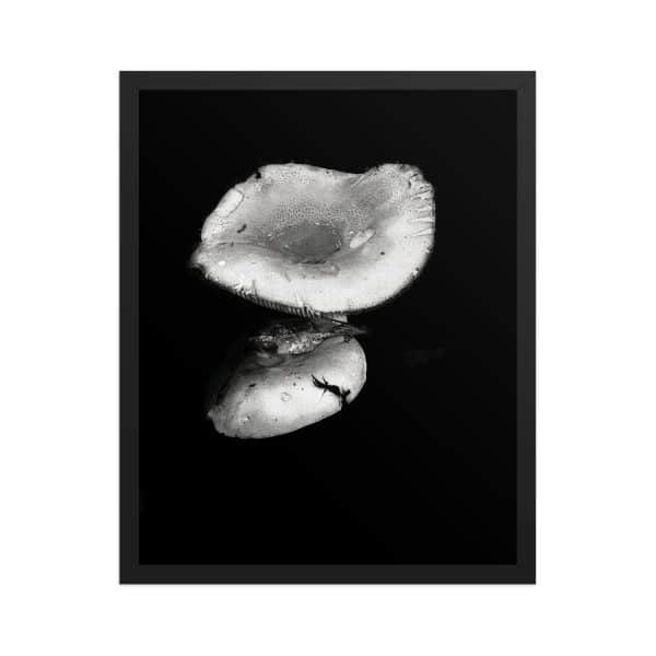 premium luster photo paper framed poster in black 16x20 front 68310ea358143.jpg