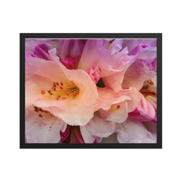 premium luster photo paper framed poster in black 16x20 front 683111d33537b.jpg