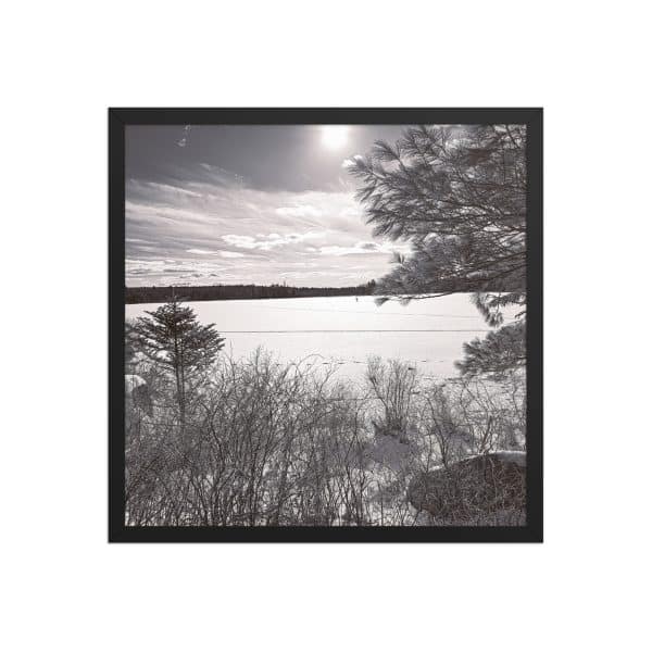 premium luster photo paper framed poster in black 18x18 front 682d0858bc6ec.jpg