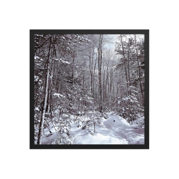 premium luster photo paper framed poster in black 18x18 front 682d16d9607c3.jpg