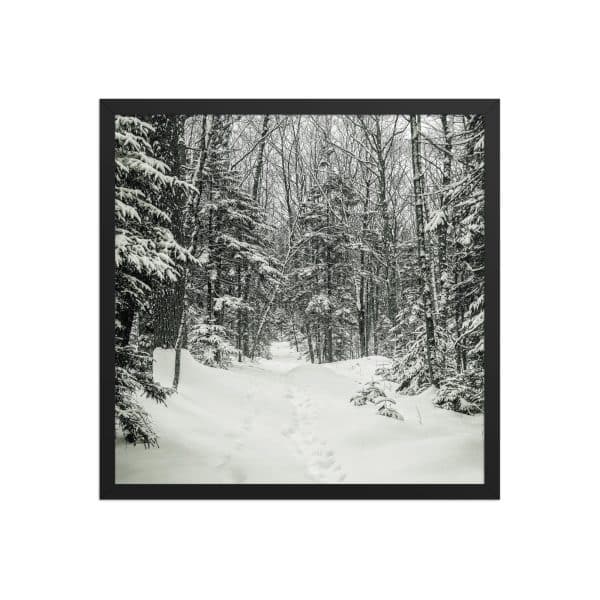 premium luster photo paper framed poster in black 18x18 front 682d1b2ecdc10.jpg