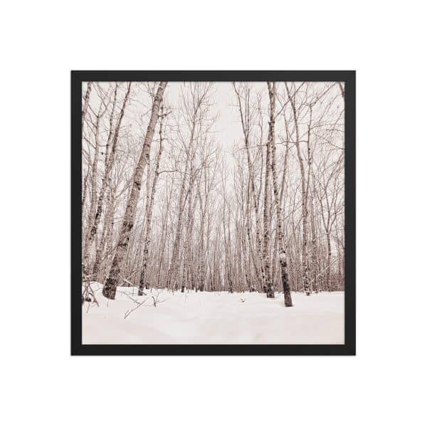 premium luster photo paper framed poster in black 18x18 front 682d98ab8eb87.jpg