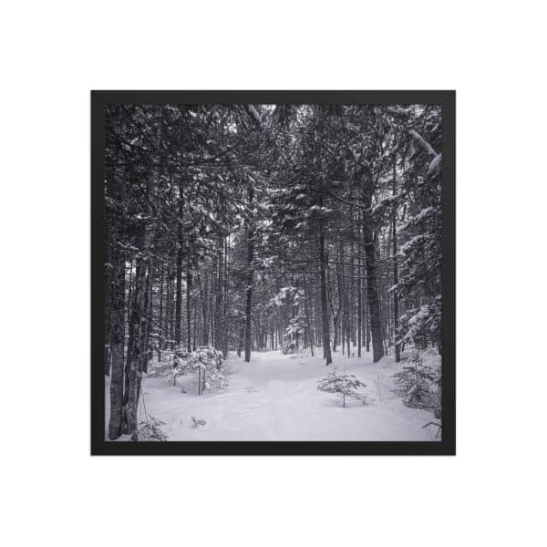 premium luster photo paper framed poster in black 18x18 front 682d9aa7acd86.jpg