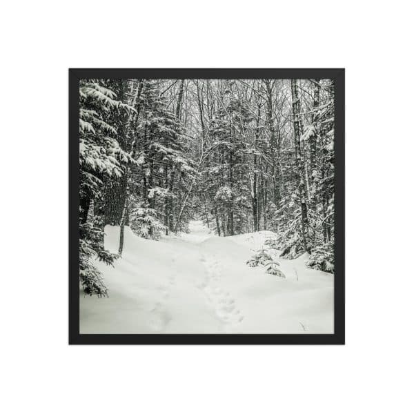 premium luster photo paper framed poster in black 18x18 front 682d9c6b3cce6.jpg