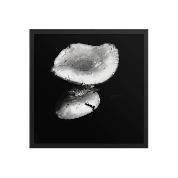 premium luster photo paper framed poster in black 18x18 front 68310ea3581c9.jpg