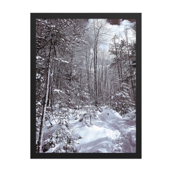 premium luster photo paper framed poster in black 18x24 front 682d16d96087e.jpg