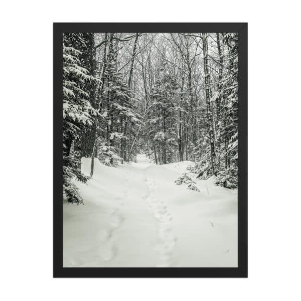 premium luster photo paper framed poster in black 18x24 front 682d1b2ecdcb4.jpg