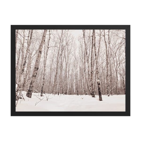 premium luster photo paper framed poster in black 18x24 front 682d98ab8ec67.jpg