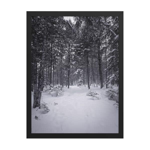 premium luster photo paper framed poster in black 18x24 front 682d9aa7ace14.jpg