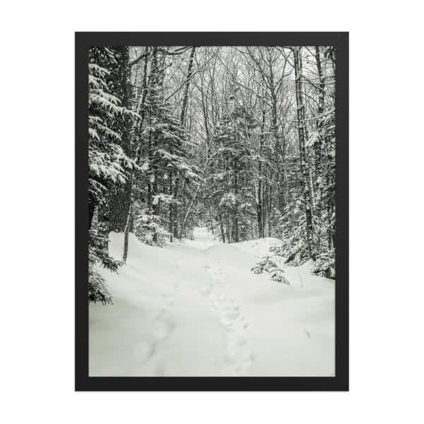 premium luster photo paper framed poster in black 18x24 front 682d9c6b3cdb2.jpg