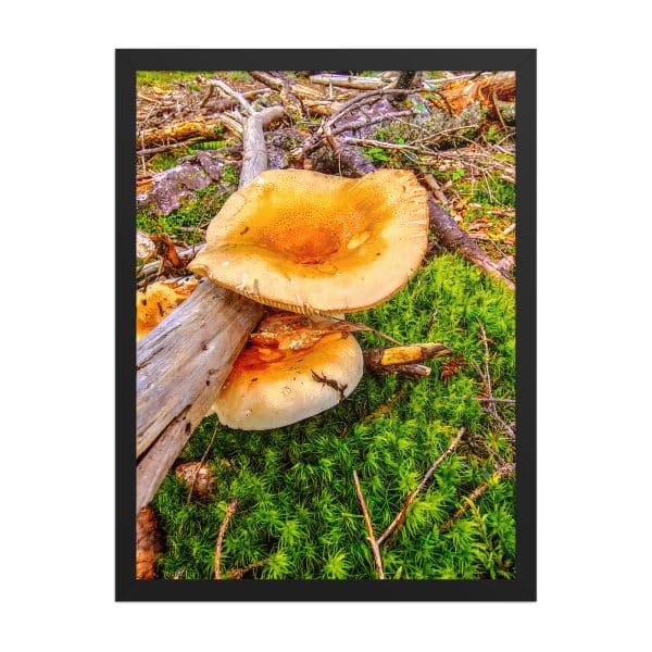 premium luster photo paper framed poster in black 18x24 front 68310c75cefee.jpg