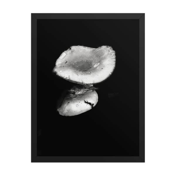 premium luster photo paper framed poster in black 18x24 front 68310ea358254.jpg
