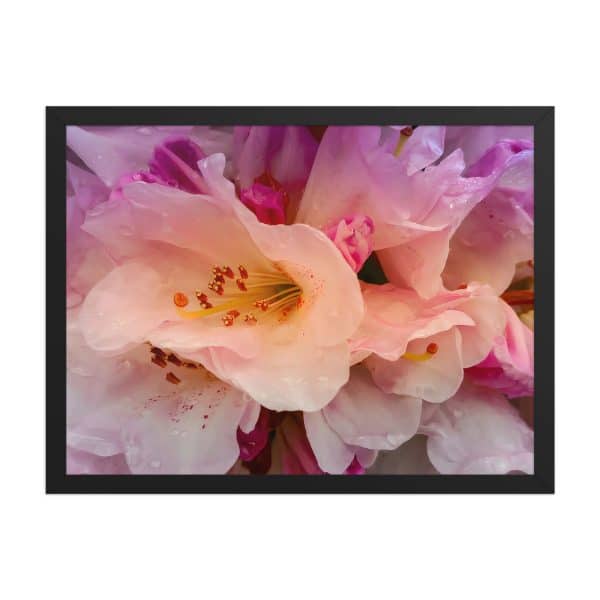 premium luster photo paper framed poster in black 18x24 front 683111d335490.jpg