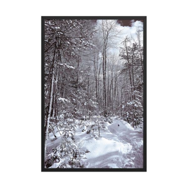 premium luster photo paper framed poster in black 24x36 front 682d16d960915.jpg