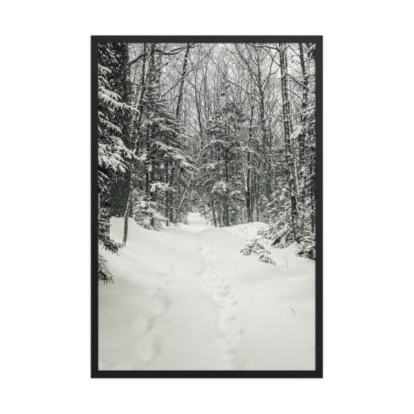 premium luster photo paper framed poster in black 24x36 front 682d1b2ecdd56.jpg