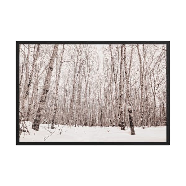 premium luster photo paper framed poster in black 24x36 front 682d98ab8ed41.jpg