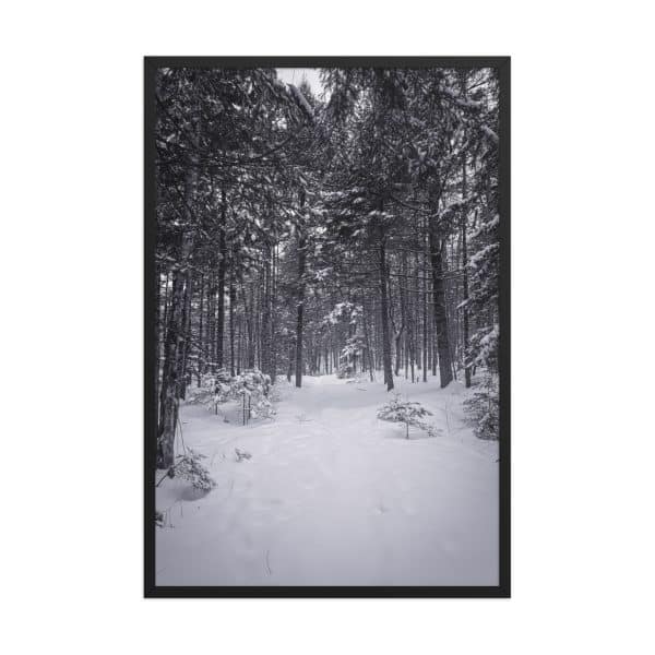 premium luster photo paper framed poster in black 24x36 front 682d9aa7ace9e.jpg