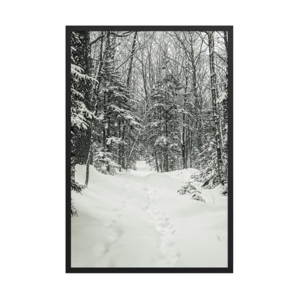 premium luster photo paper framed poster in black 24x36 front 682d9c6b3cedb.jpg