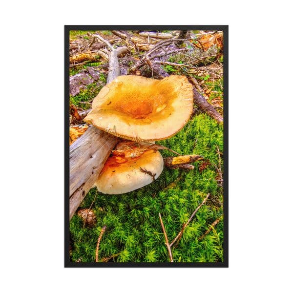 premium luster photo paper framed poster in black 24x36 front 68310c75cf0fd.jpg