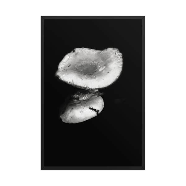 premium luster photo paper framed poster in black 24x36 front 68310ea3582d9.jpg