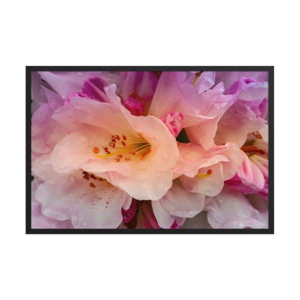 premium luster photo paper framed poster in black 24x36 front 683111d33551c.jpg