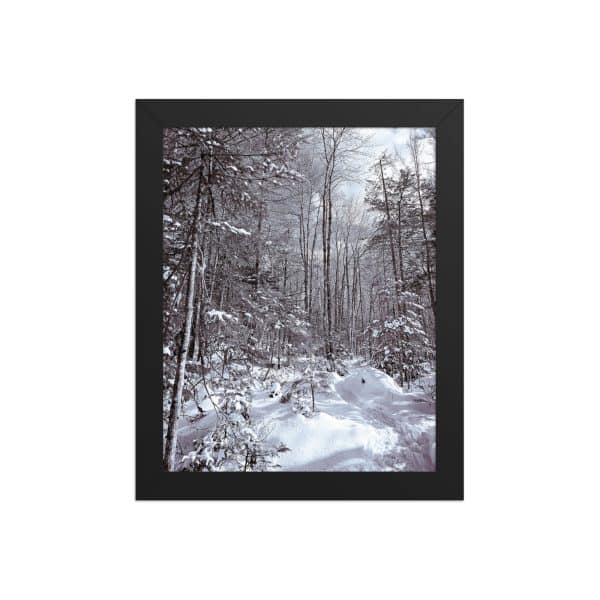 premium luster photo paper framed poster in black 8x10 front 682d16d9601dc.jpg