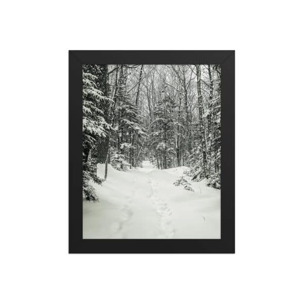 premium luster photo paper framed poster in black 8x10 front 682d1b2ecd54d.jpg