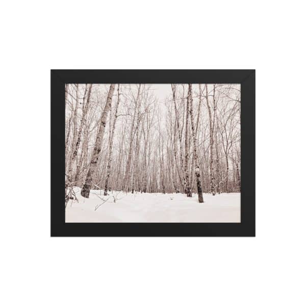 premium luster photo paper framed poster in black 8x10 front 682d98ab8e4c7.jpg
