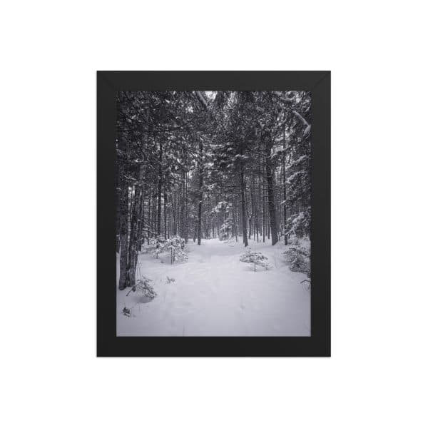 premium luster photo paper framed poster in black 8x10 front 682d9aa7ac8a9.jpg