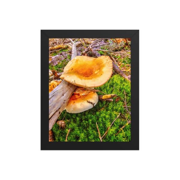 premium luster photo paper framed poster in black 8x10 front 68310c75ce5d8.jpg