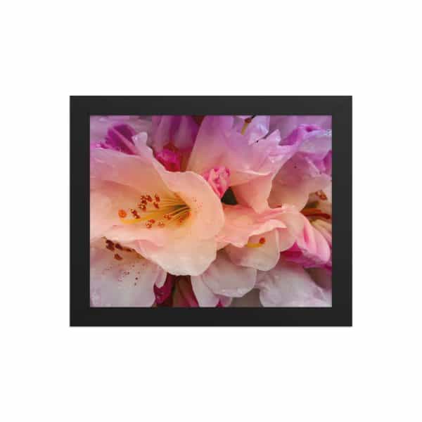 premium luster photo paper framed poster in black 8x10 front 683111d334f3d.jpg