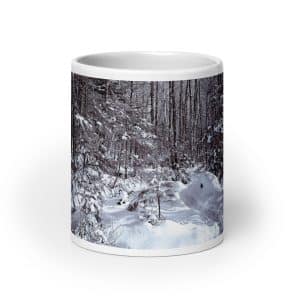 white glossy mug white 20 oz front view 68229cd19b93c.jpg