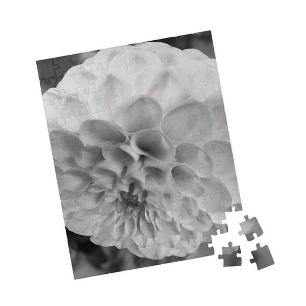 1057883933164505000 2048.jpeg