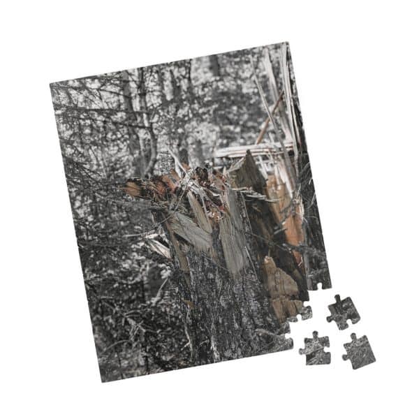 11216034577889798713 2048.jpeg
