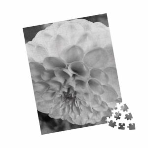 1122669665183479492 2048.jpeg