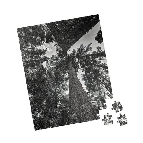 11395257870568972794 2048.jpeg