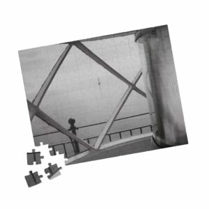 12737416253753354655 2048.jpeg