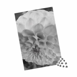 15265927009824340777 2048.jpeg
