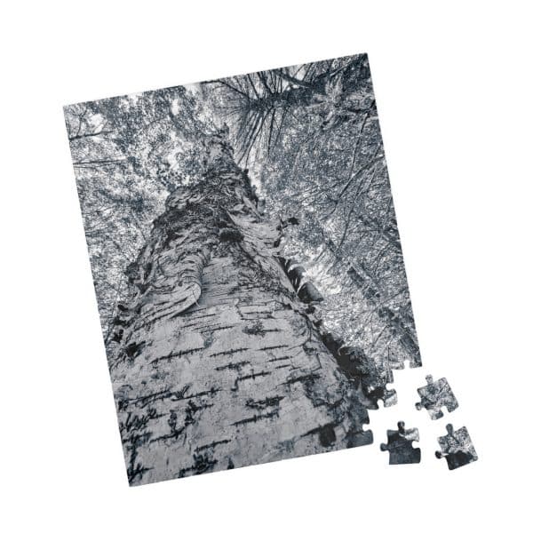 6627369524000680848 2048.jpeg