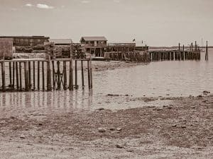 Time stands still in this evocative black-and-white portrait of the working piers at Bass Harbor, Maine. Captured at low tide, the weathered pilings rise like silent sentinels from the sand, supporting structures shaped by sea, wind, and time. The sepia-toned treatment deepens the sense of memory, echoing generations of maritime labor and quiet tides that have come and gone. In the distance, lobster boats rest just beyond the frame, while the quiet hush of the harbor stretches beneath a sky barely disturbed by clouds. Every detail—from the textured mudflats to the skeletal framework of the docks—invites you to linger in this moment of stillness, history, and working-coast authenticity. This photograph is a tribute to Maine's coastal legacy, where function meets beauty and the passage of time is recorded in every timber.
